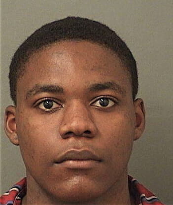 Wilnique Francois, - Palm Beach County, FL 